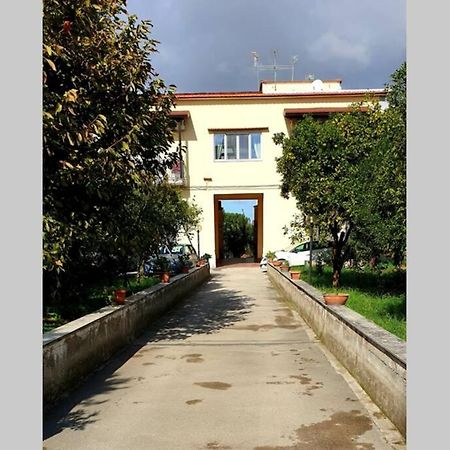 Appartamento In Villa Alle Falde Del Vesuvio Napoli Dış mekan fotoğraf