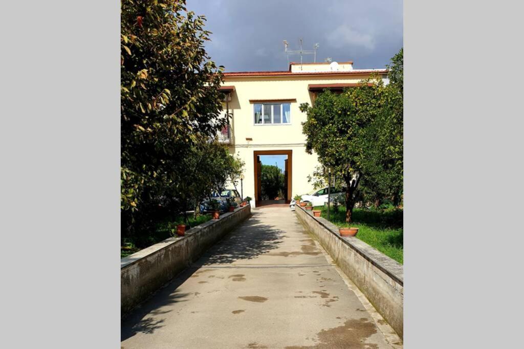 Appartamento In Villa Alle Falde Del Vesuvio Napoli Dış mekan fotoğraf